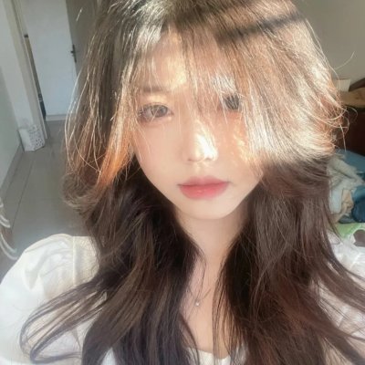 监察局长